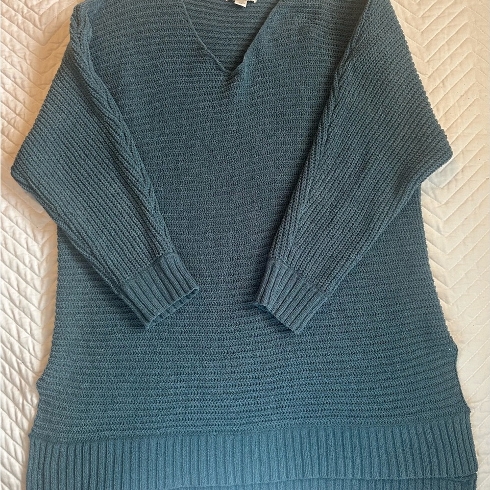American Eagle Outfitters Blue V-Neck Sweater